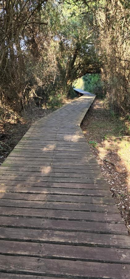 The Bridge, Apartment 25 Saint Lucia Estuary المظهر الخارجي الصورة